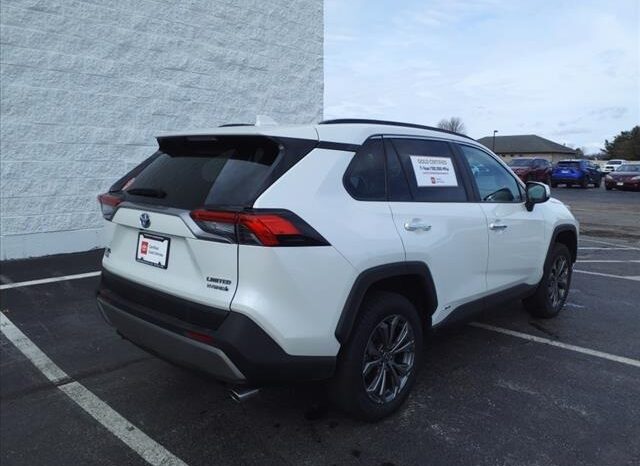 
								Toyota RAV4 Hybrid full									