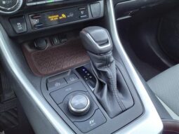 
										Toyota RAV4 Hybrid full									