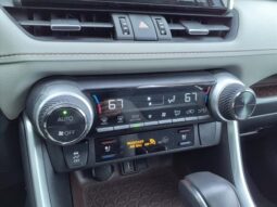 
										Toyota RAV4 Hybrid full									