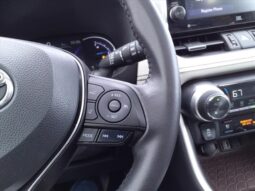
										Toyota RAV4 Hybrid full									