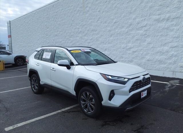
								Toyota RAV4 Hybrid full									