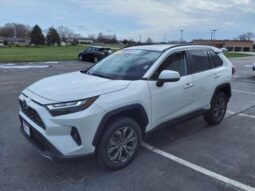 
										Toyota RAV4 Hybrid full									