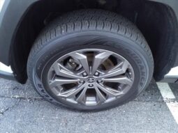 
										Toyota RAV4 Hybrid full									