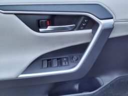 
										Toyota RAV4 Hybrid full									