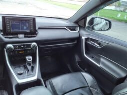 
										Toyota RAV4 Hybrid full									