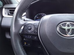 
										Toyota RAV4 Hybrid full									