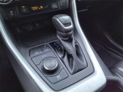 
										Toyota RAV4 Hybrid full									