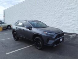 Toyota RAV4 Hybrid