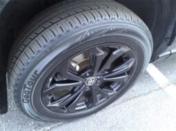 
										Toyota RAV4 Hybrid full									