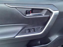 
										Toyota RAV4 Hybrid full									