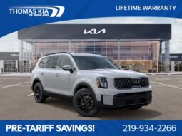 
										Kia Telluride full									