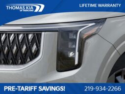 
										Kia Carnival Hybrid full									