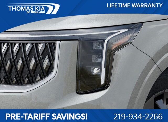 
								Kia Carnival Hybrid full									