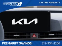 
										Kia Carnival Hybrid full									