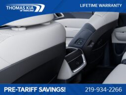 
										Kia Carnival Hybrid full									
