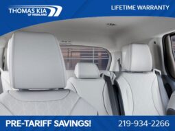 
										Kia Carnival Hybrid full									