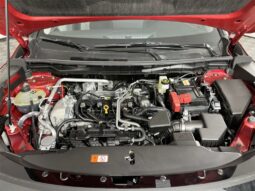 
										Mitsubishi Outlander full									