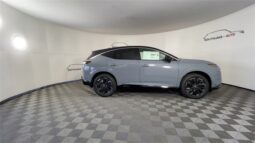 
 Nissan Murano full									