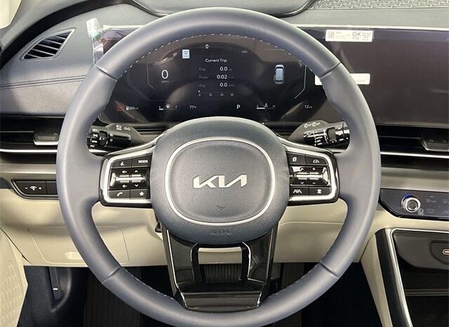 
								Kia Carnival Hybrid full									