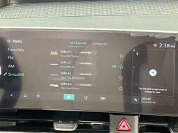
										Kia Carnival Hybrid full									