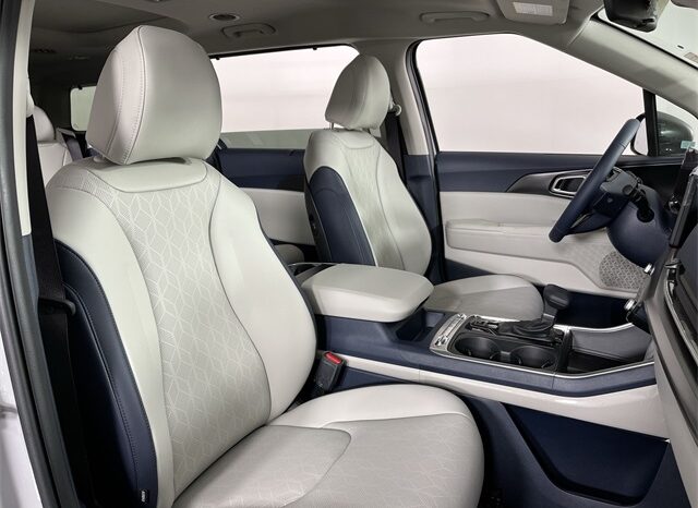 
								Kia Carnival Hybrid full									