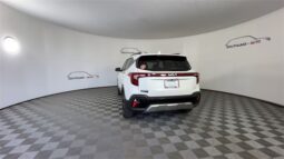 
 Kia Seltos full									
