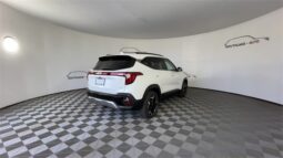 
 Kia Seltos full									