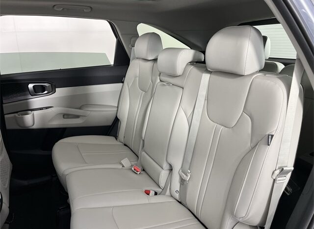 
 Kia Sorento full									