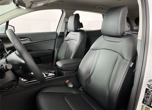 
 Kia Sportage full									