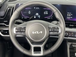 
 Kia Sportage full									