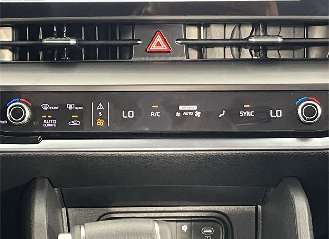 
 Kia Sportage full									