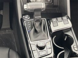 
 Kia Sportage full									