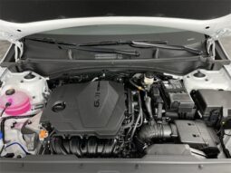 
 Kia Sportage full									
