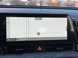 
 Kia Sportage full									