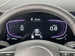 
										Kia Sportage full									