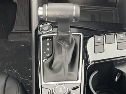 
										Kia Sportage full									