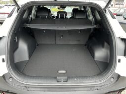 
										Kia Sportage full									