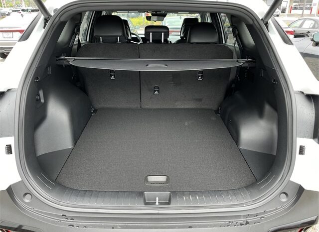
								Kia Sportage full									