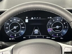 
 Kia Telluride full									