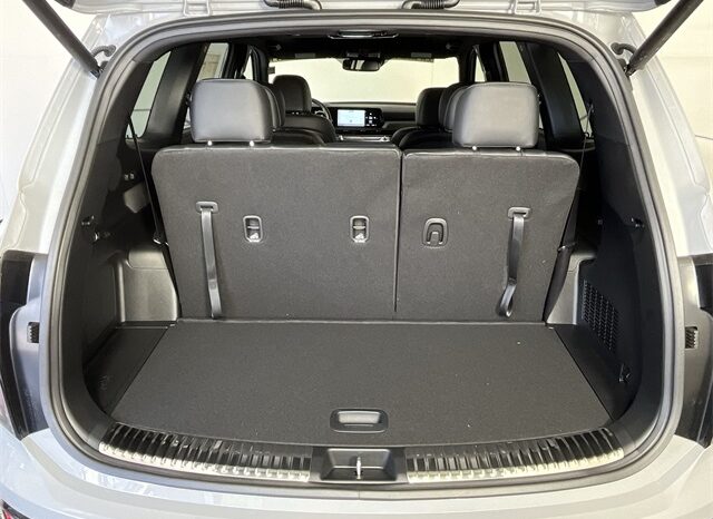 
 Kia Telluride full									