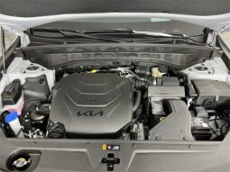 
 Kia Telluride full									