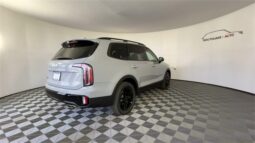 
 Kia Telluride full									
