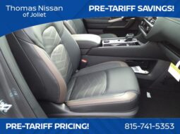 
										Nissan Pathfinder full									