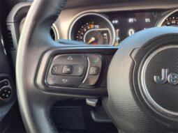 
 Jeep Wrangler full									