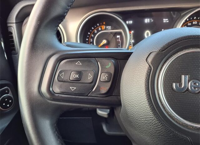 
 Jeep Wrangler full									