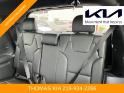 
 Kia Telluride full									