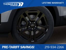 
										Kia Telluride full									