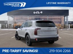 
										Kia Telluride full									