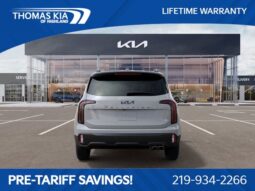 
										Kia Telluride full									