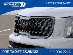 
 Kia Telluride full									